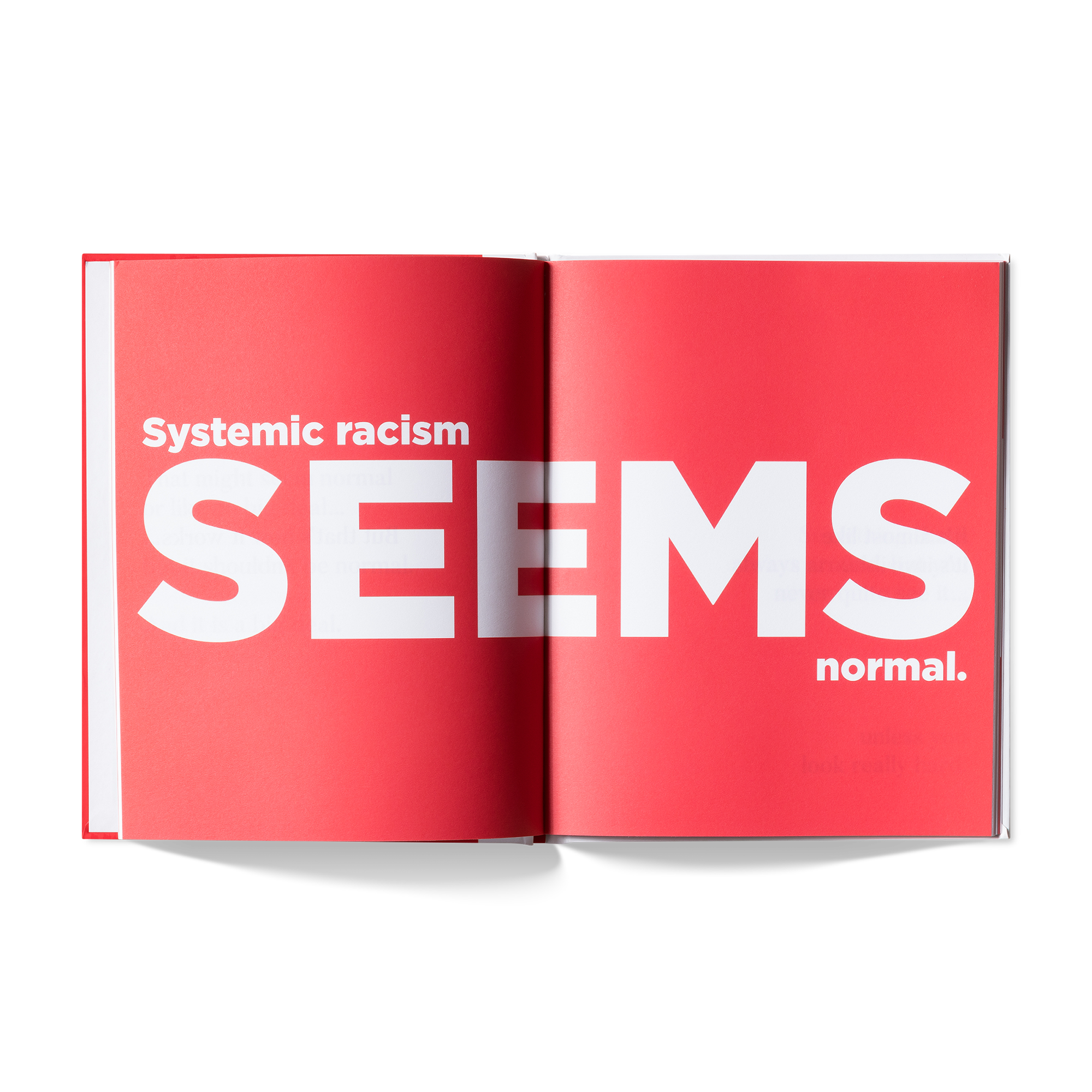 A Kids Book About Systemic Racism