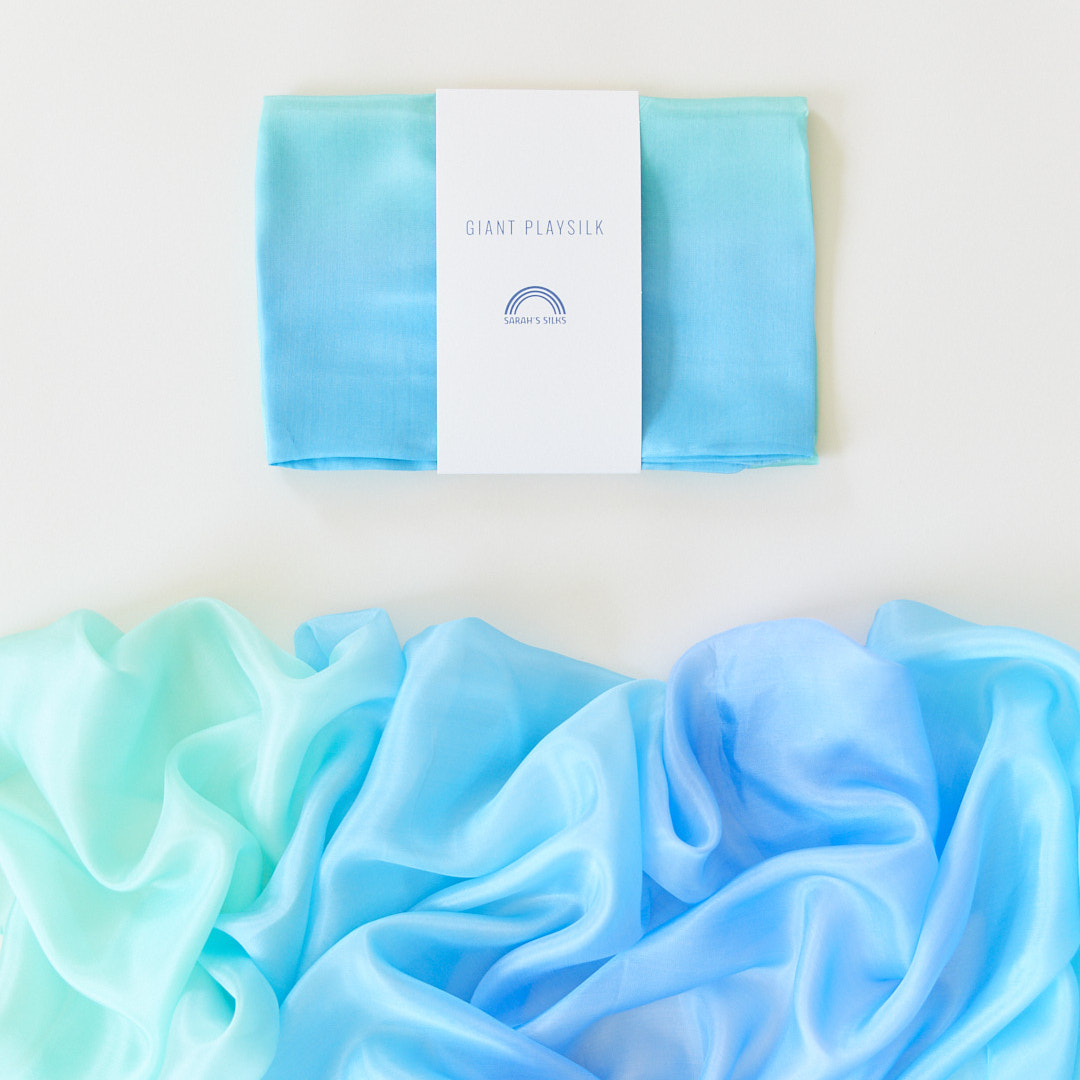 Giant Playsilk in Sea