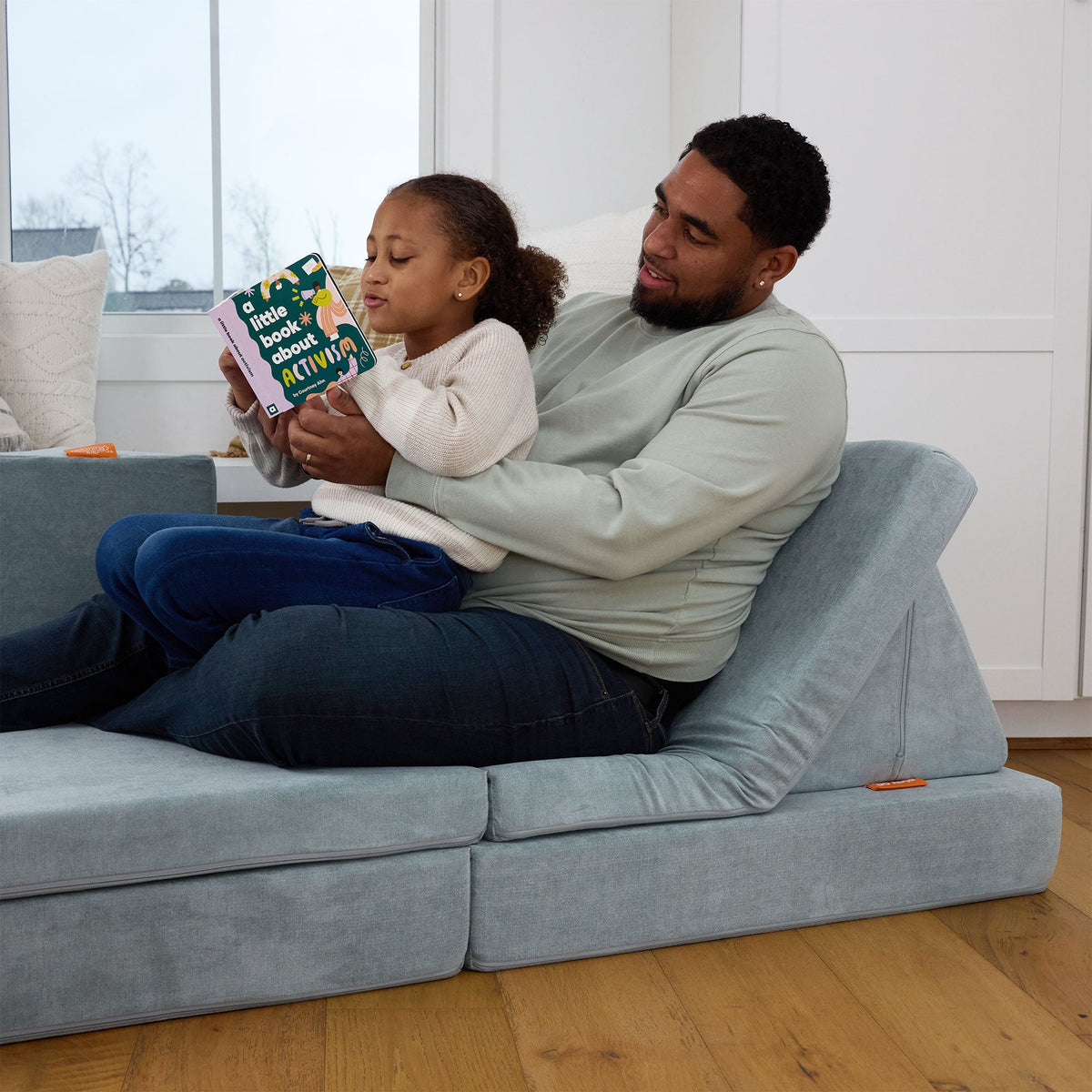 A Little Book About Activism